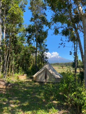 Glamping peumayen